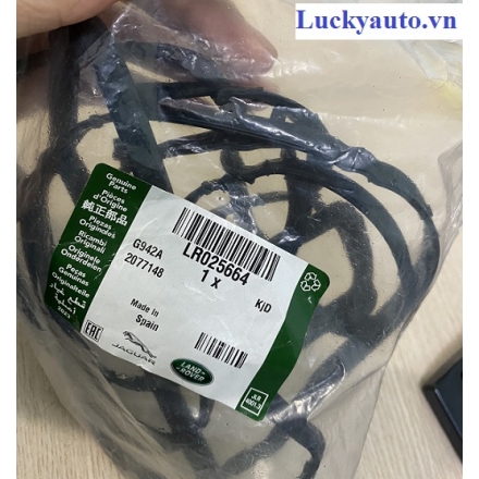 Gioăng nắp máy (Giàn cò) xe Land Rover Evoque đời 2012_ LR 025 664- LR025664